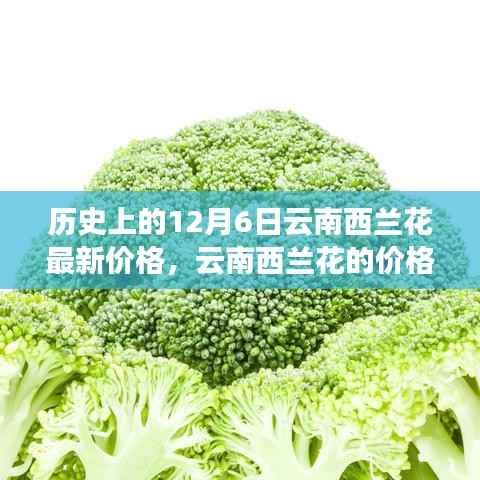 云烟 第3页
