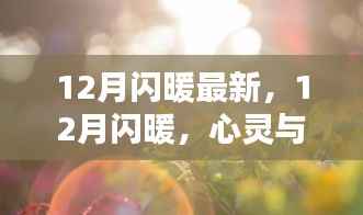 心灵与自然的美妙邂逅,十二月闪暖最新资讯与体验