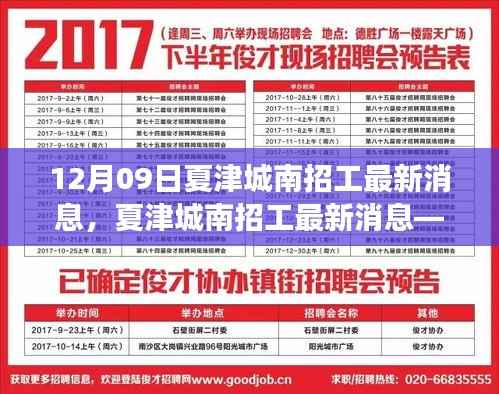 夏津城南招工最新动态,深度解读12月09日消息