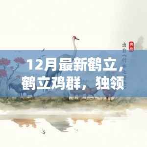 揭秘鹤立趋势,十二月最新鹤立鸡群奥秘独领风骚的潮流风采