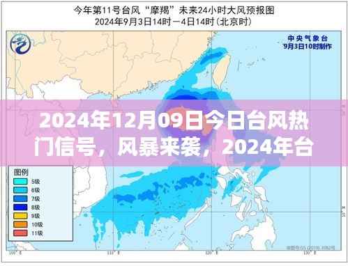 革新预警体验,智能监控器应对台风来袭,科技重塑生活