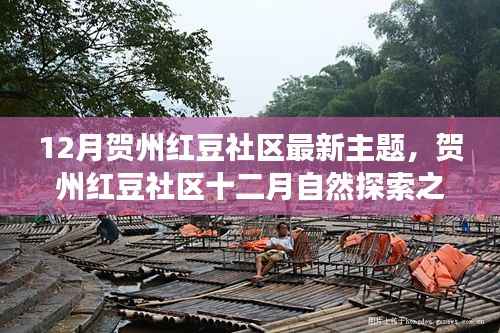 贺州红豆社区十二月自然探索之旅,心灵绿洲的寻找之路