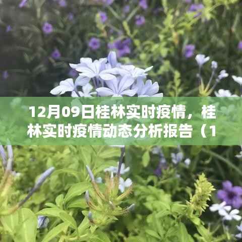 囊萤映雪 第2页