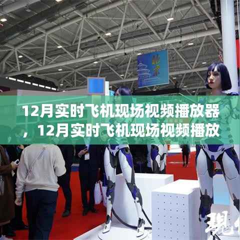 射飞逐走 第2页