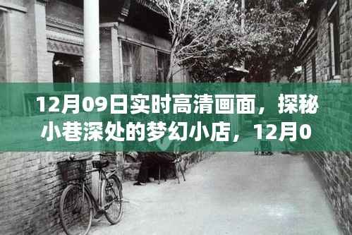 梦幻小巷,梦幻小店的高清探秘之旅(12月09日实时画面)