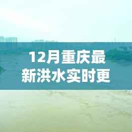 重庆洪水实时更新报告,关注最新动态,掌握最新信息