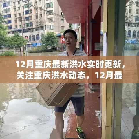 重庆洪水实时更新报告,关注最新动态,掌握最新信息