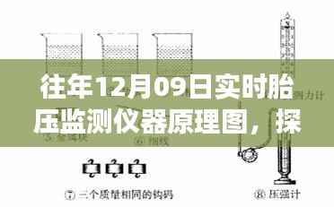 鸟语蝉鸣 第2页