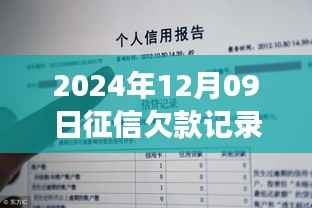 关于征信欠款记录的实时查询流程指南,以2024年12月9日征信欠款记录的实时性解析