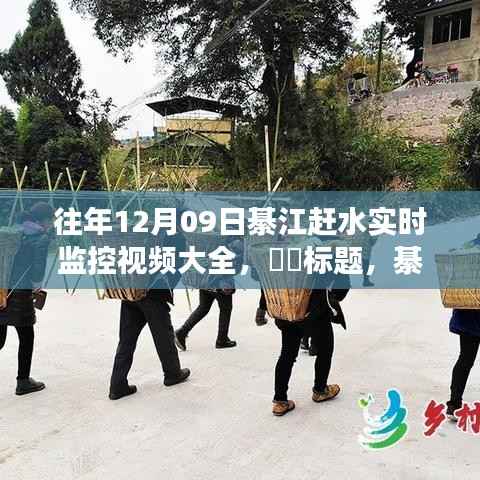綦江赶水盛宴,探寻往年12月09日的自然之旅与内心宁静的实时记录