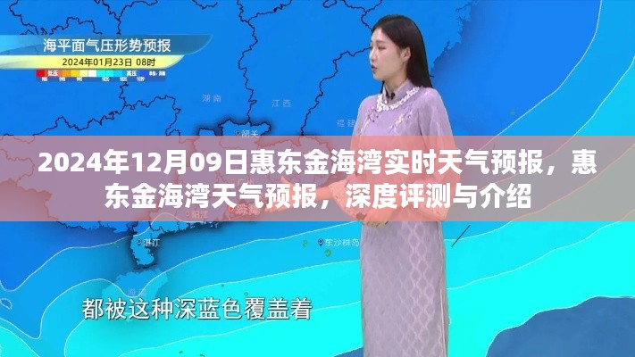 惠东金海湾天气预报深度解析,最新实时气象信息及全面介绍(2024年12月9日)