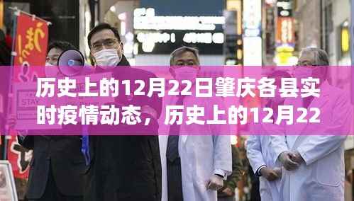 历史上的12月22日肇庆各县疫情动态回顾与洞察,实时疫情数据深度解析
