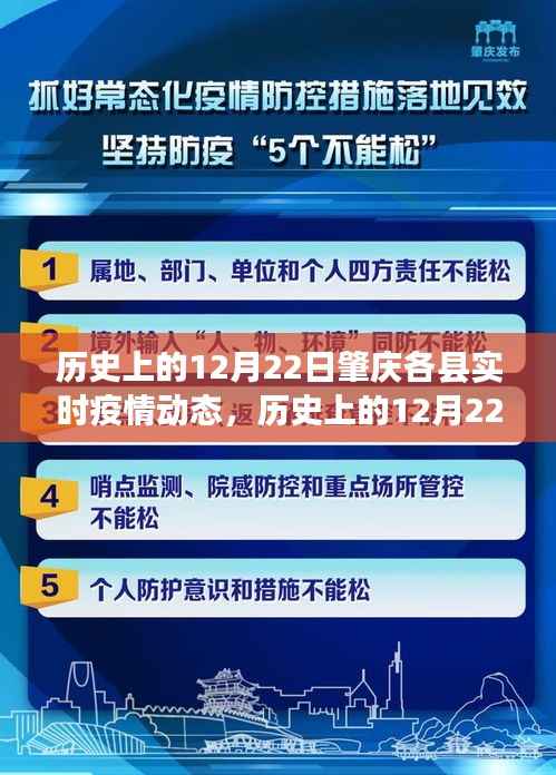 历史上的12月22日肇庆各县疫情动态回顾与洞察,实时疫情数据深度解析