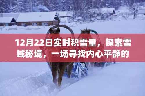 12月22日实时积雪量下的雪域秘境探索，冬日心灵平静之旅
