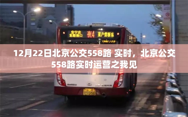 北京公交558路实时运营分析与观察见闻