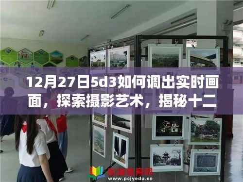 揭秘摄影艺术,如何在尼康D53相机上实现实时画面调整与探索摄影艺术技巧分享(十二月二十七日指南)