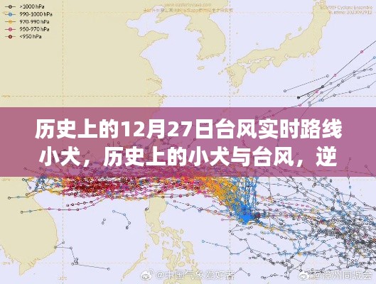 雍容雅步 第2页