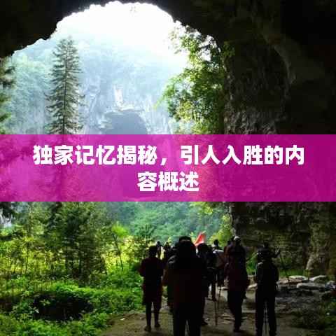 独家记忆揭秘，引人入胜的内容概述