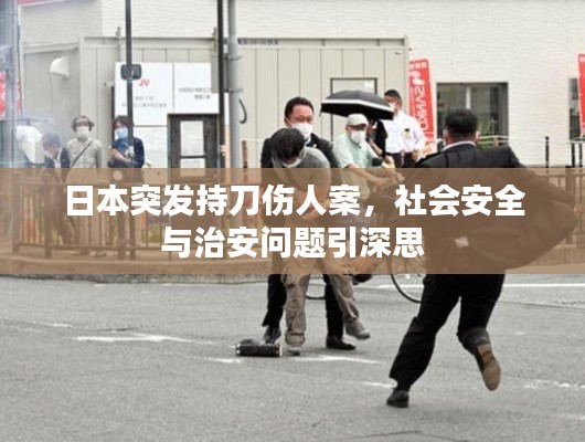 日本突发持刀伤人案,社会安全与治安问题引深思
