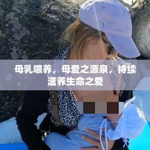 母乳喂养,母爱之源泉,持续滋养生命之爱