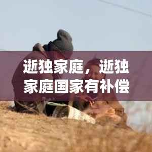 飞扬拨扈 第2页