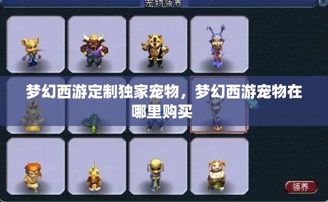 梦幻西游定制独家宠物,梦幻西游宠物在哪里购买