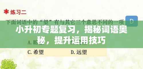 小升初专题复习,揭秘词语奥秘,提升运用技巧