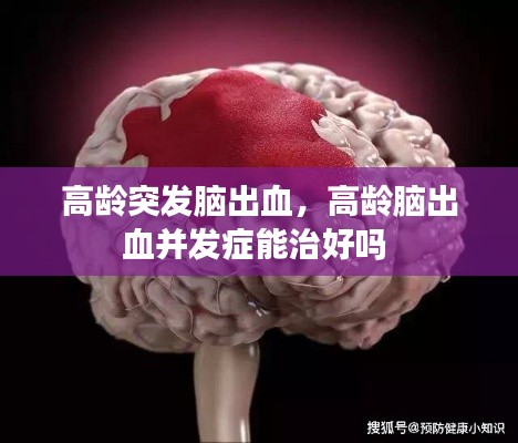 澹泊明志,宁静致远 第2页