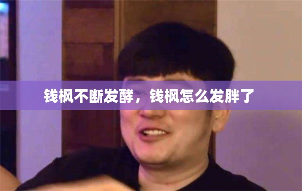 钱枫不断发酵,钱枫怎么发胖了