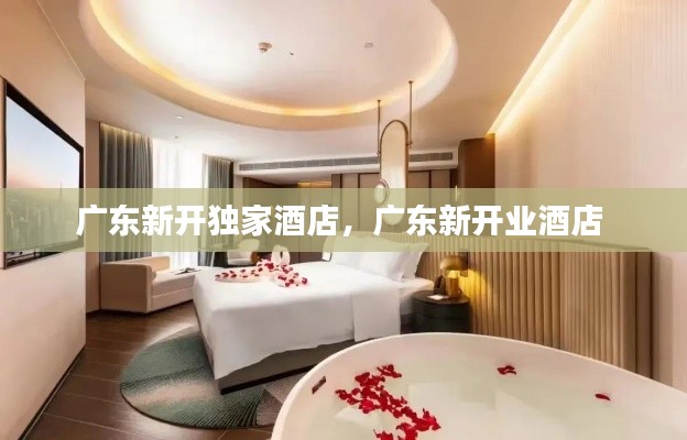 广东新开独家酒店，广东新开业酒店 