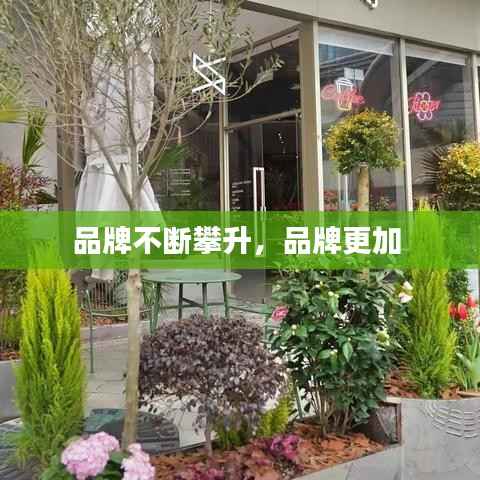 品牌不断攀升,品牌更加