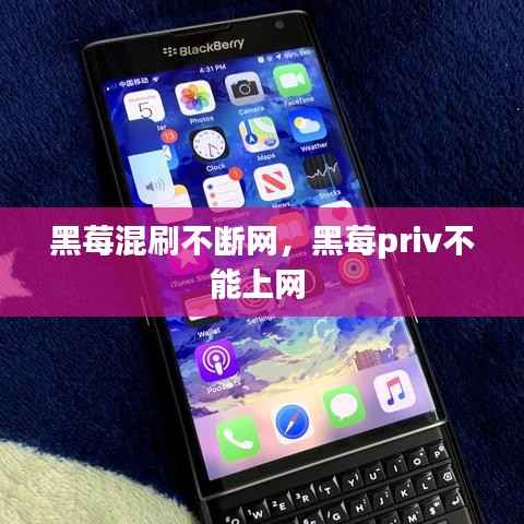 精品展示 第188页