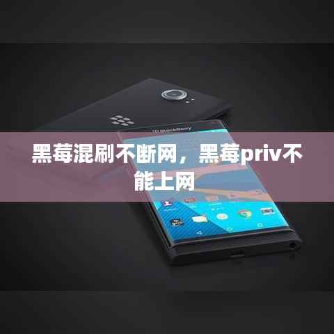 黑莓混刷不断网,黑莓priv不能上网