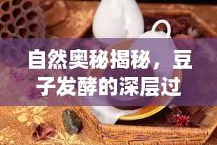 自然奥秘揭秘,豆子发酵的深层过程解析