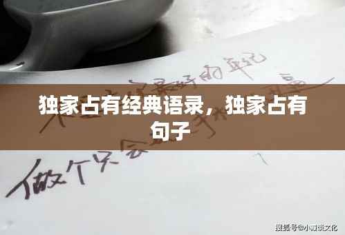 独家占有经典语录,独家占有句子