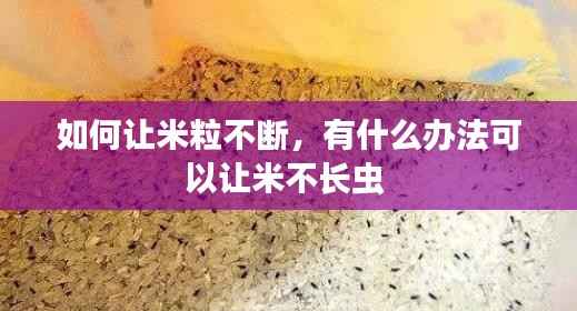 如何让米粒不断，有什么办法可以让米不长虫 