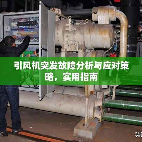引风机突发故障分析与应对策略,实用指南