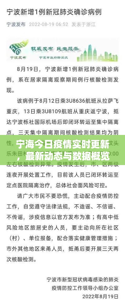 宁海今日疫情实时更新,最新动态与数据概览