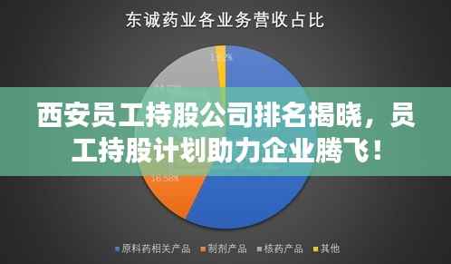 西安员工持股公司排名揭晓,员工持股计划助力企业腾飞!