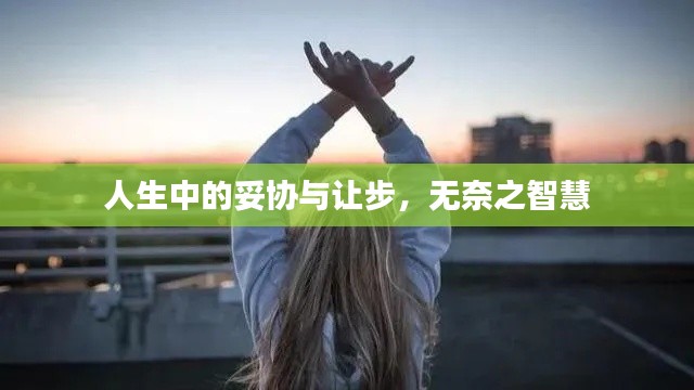 人生中的妥协与让步,无奈之智慧