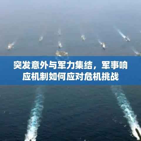 突发意外与军力集结，军事响应机制如何应对危机挑战