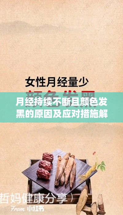 举步如飞 第2页