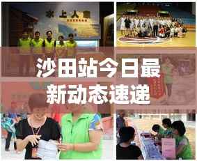 沙田站今日最新动态速递