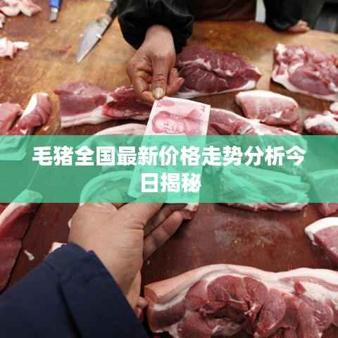 就汤下面 第2页