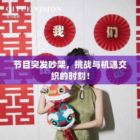 节目突发吵架,挑战与机遇交织的时刻!