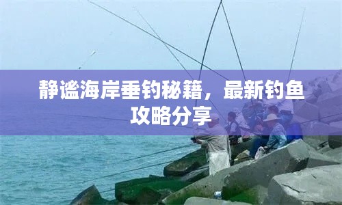 静谧海岸垂钓秘籍,最新钓鱼攻略分享
