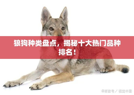 天潢贵胄 第2页
