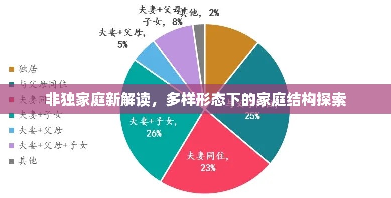非独家庭新解读,多样形态下的家庭结构探索