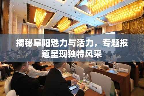 揭秘阜阳魅力与活力，专题报道呈现独特风采