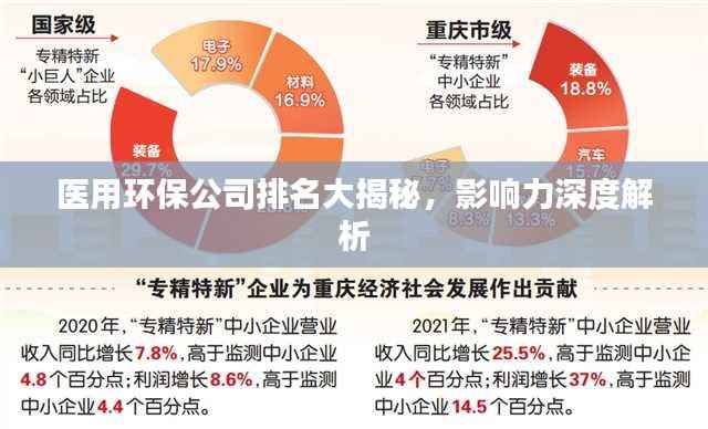 小家碧玉 第2页